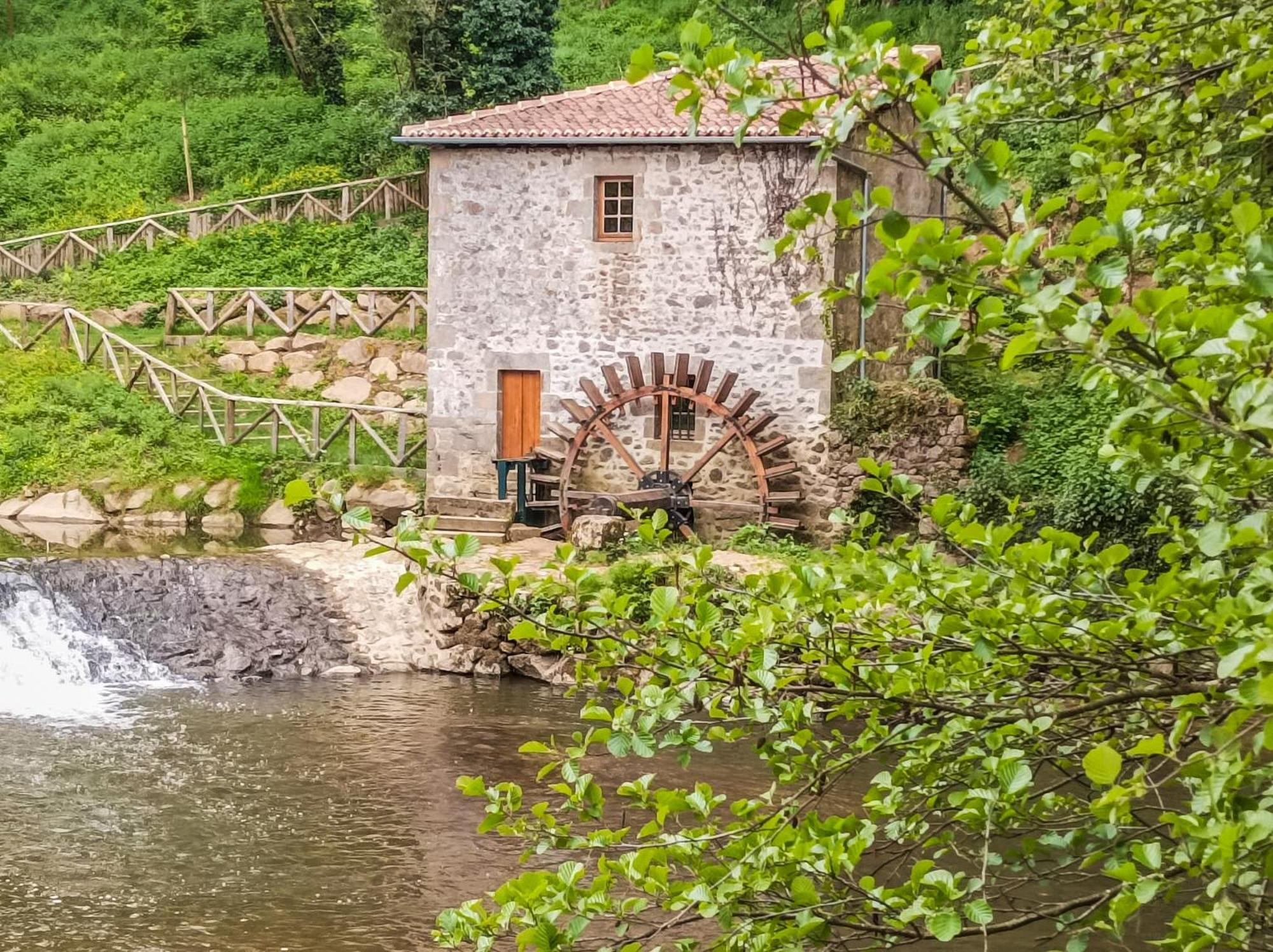 Manoir Des Arts Bed & Breakfast Confolens Bagian luar foto